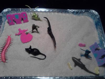 Play Therapy Sand Tray: How to use it in Play Therapy