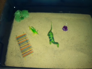 Sand Tray Therapy Student #5- Extended Tray Project #3