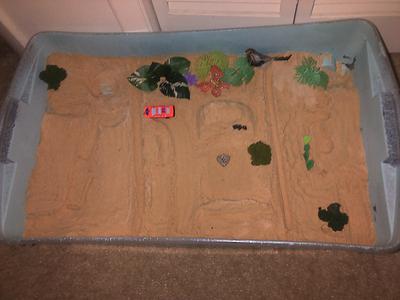Sand Tray Therapy Class Childhood Tray