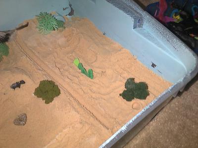 Sand Tray Therapy 3
