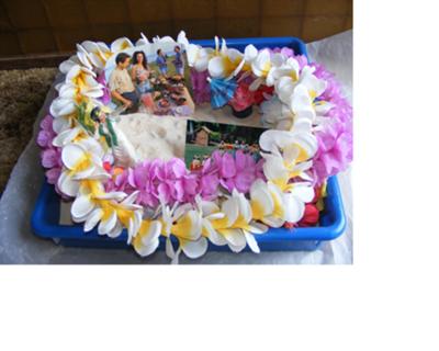 Sand tray Therapy Class, Multicultural Midterm with Sand Tray Miniatures from Hawaii Haku Lei, Student #2, Martha