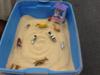 First Sand Tray in Sand Tray Therapy Class #3