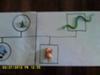 play therapy genogram by Student of Play Therapy 3