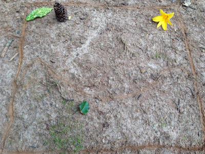 How to do a Dirt Sand Tray for Therapy