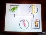 My Genogram in Play Therapy Class
