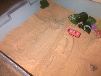 Sand Tray Therapy 4