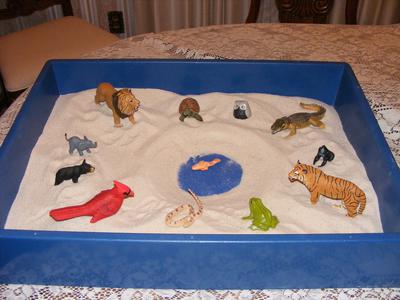 Sandtray Activity for Preschool through First Grade Children (2-7 years-old, Piaget's Pre-Operational Stage)