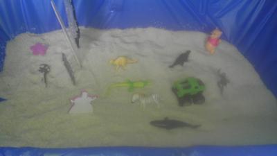 Sandtray Therapy Class-Sandtray with Bridge Journey-Student #11