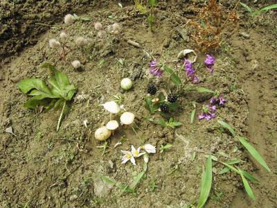 2nd Nature Outdoor Sand Tray Therapy Student #4