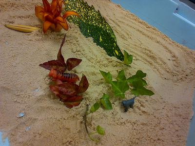 Sand Tray / Sand Play World Tray 1