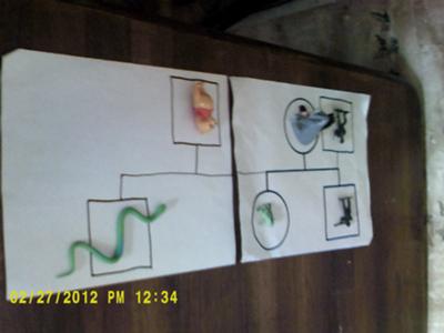 play therapy genogram by Student of Play Therapy 1