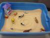 First Sand Tray in Sand Tray Therapy Class #1