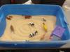First Sand Tray in Sand Tray Therapy Class #2