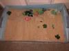 Sand Tray Therapy Class Childhood Tray