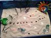 Zen Garden Sand Tray Therapy Garden Tray