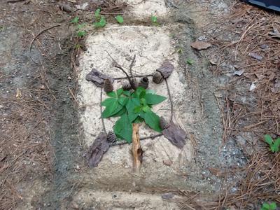 Dirt Sand Tray Therapy Activity 1 / Student 10804025
