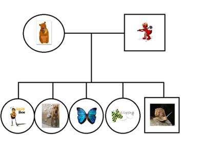 Simple and Easy Play therapy Genogram for School Counseling and Play Therapy