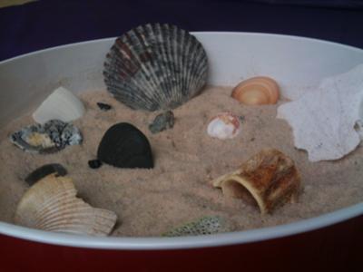 Sand Tray Therapy Zen Garden - Close up