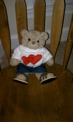 Teddy Bear Experience in Play Therapy Class idea