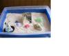 Sand Tray Therapy Class Final, Theory, Student # 2, Martha