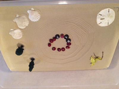 Zen Sand Tray Therapy Garden Example #1